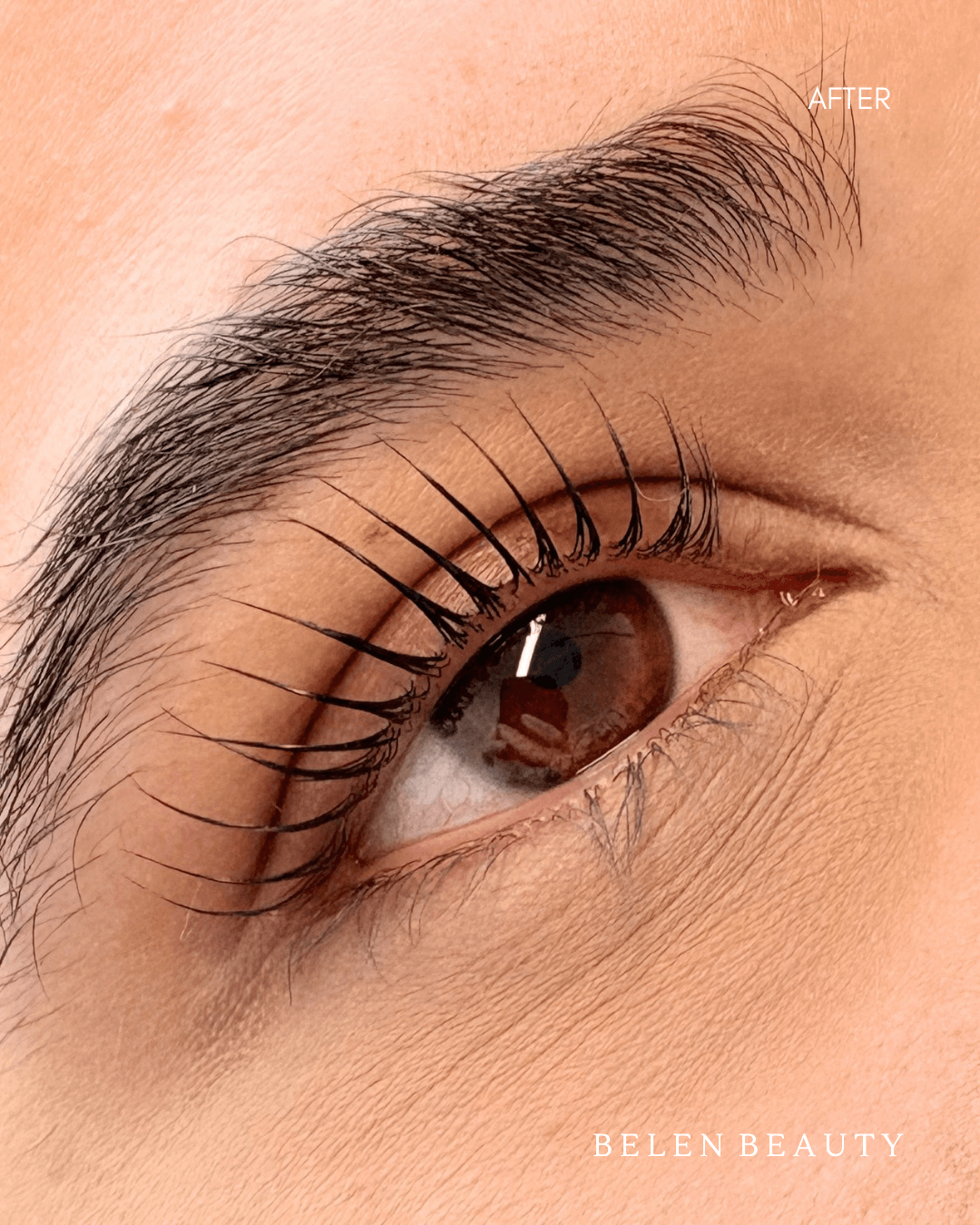 Der neue Trend aus Asien: Warum das Korean Lash Lifting für perfekt geschwungene Naturwimpern sorgt — Beautinda Blog